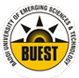 Baddi University of Emerging Sciences and Technology Logo in jpg, png, gif format